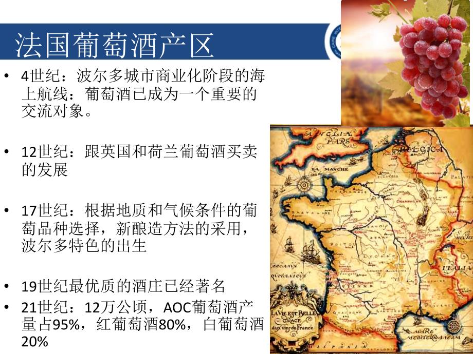 法国波尔多葡萄酒产区简介模板课件_第2页