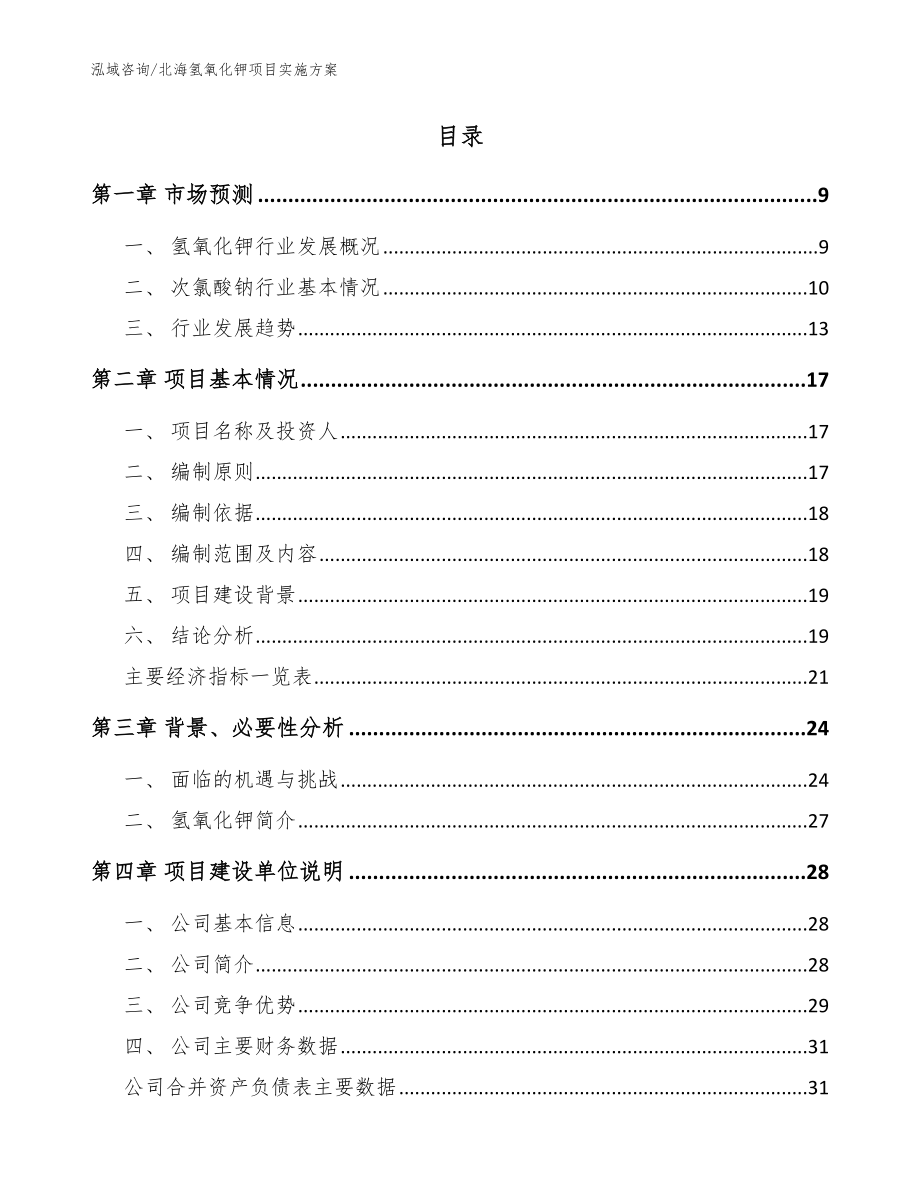 北海氢氧化钾项目实施方案_模板范文_第2页