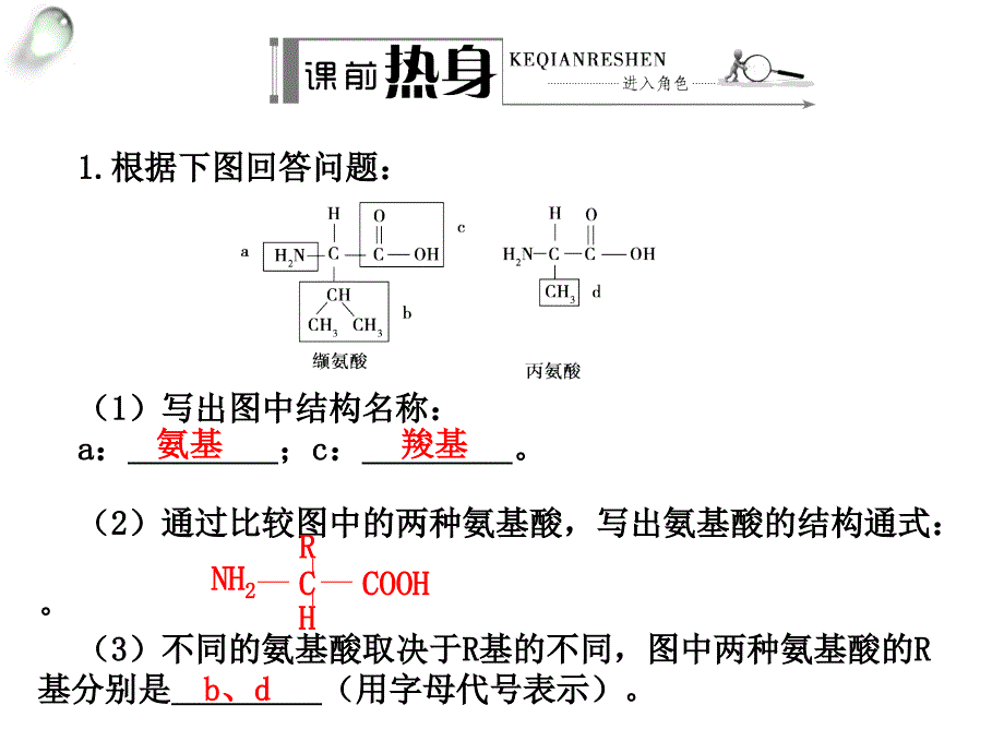 金版方案高考生物一轮复习学案课件第2讲蛋白质_第2页