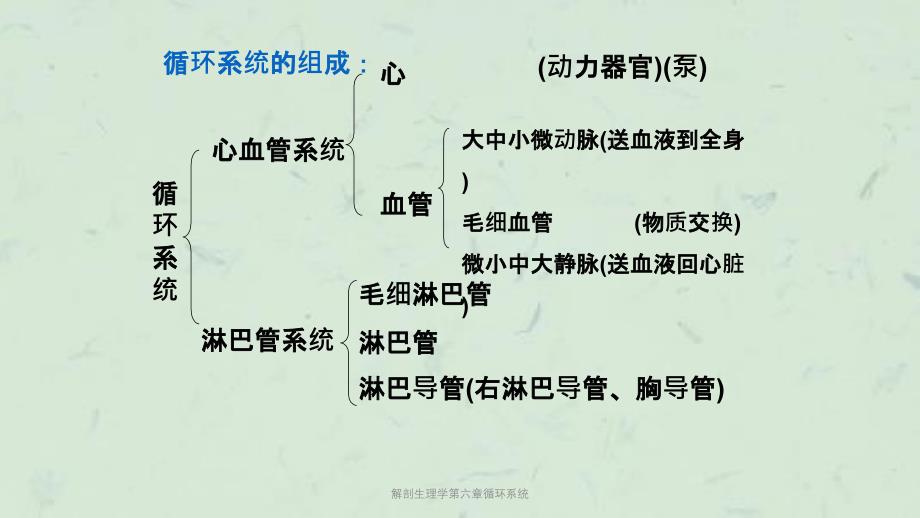 解剖生理学第六章循环系统课件_第4页