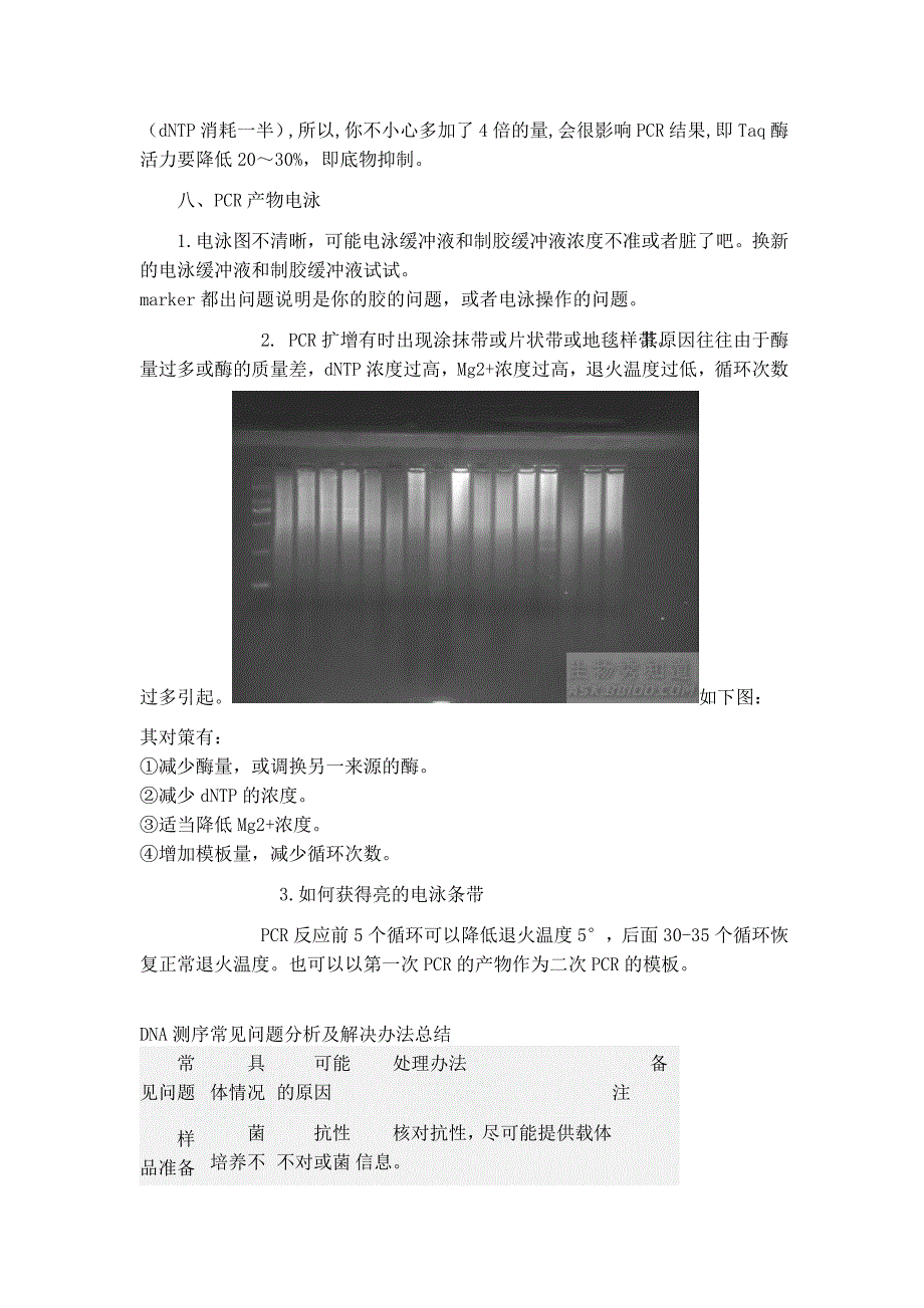 PCR扩增失败的原因分析.docx_第4页