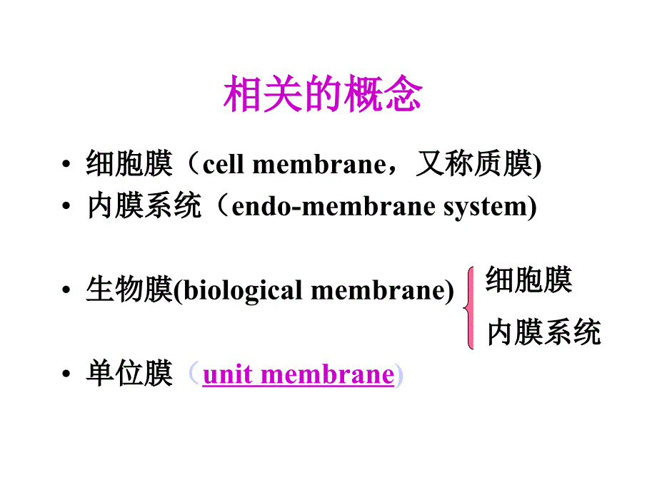 细胞膜与物质的跨膜运输_第2页