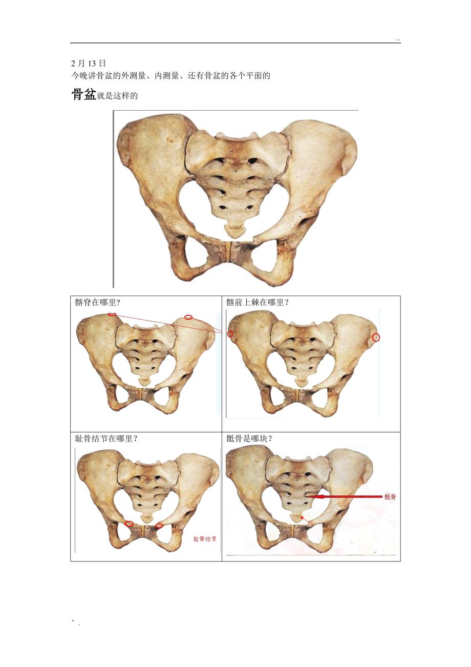骨盆测量一看就懂_第1页