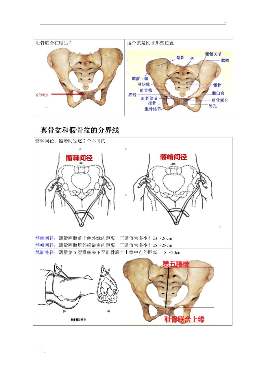 骨盆测量一看就懂_第2页