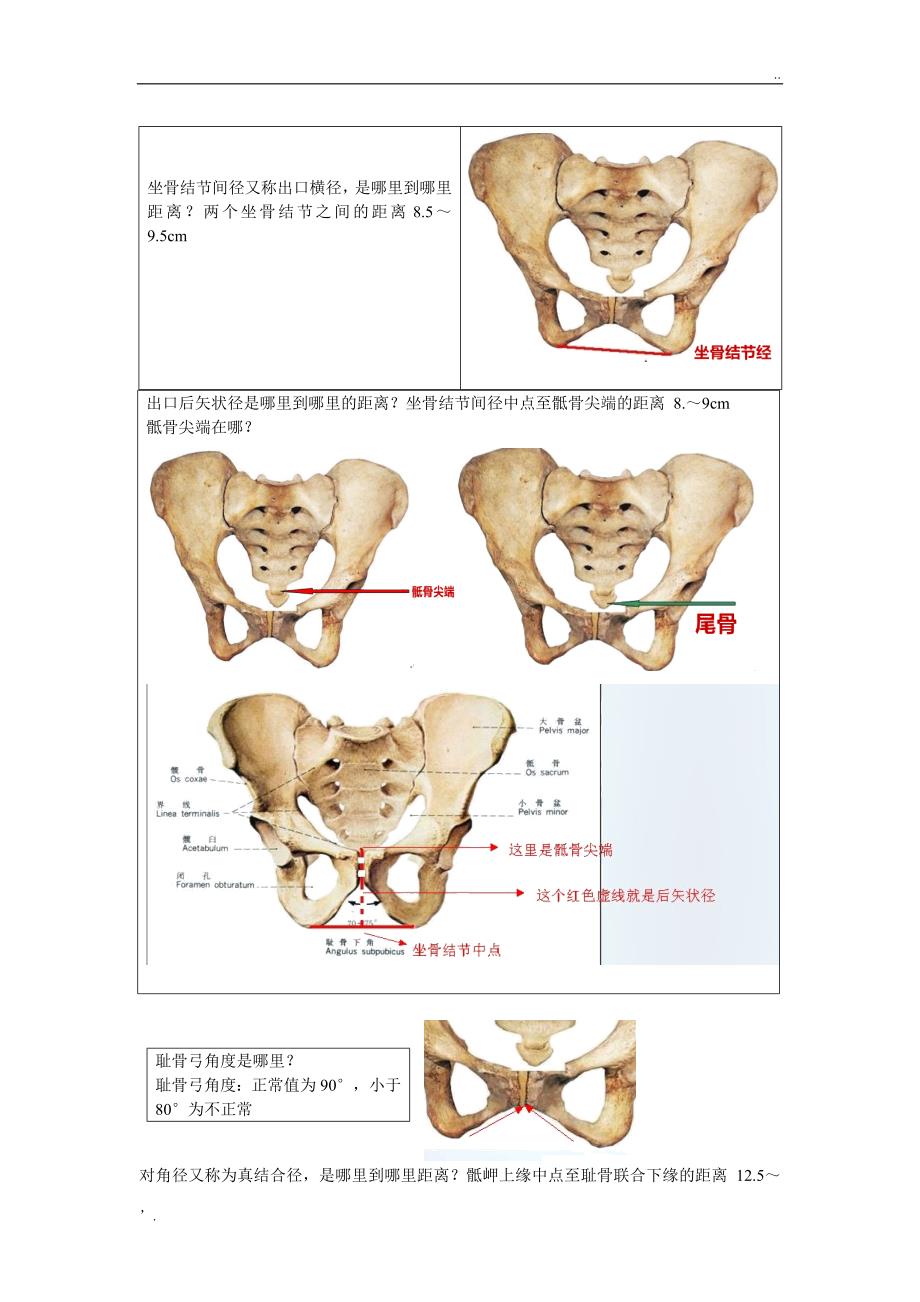 骨盆测量一看就懂_第3页