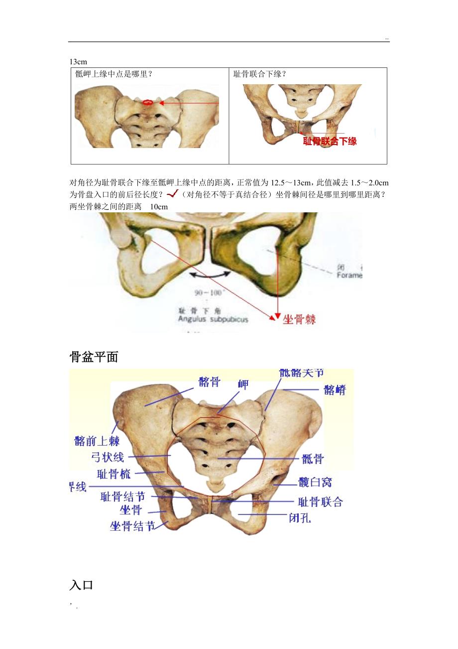 骨盆测量一看就懂_第4页