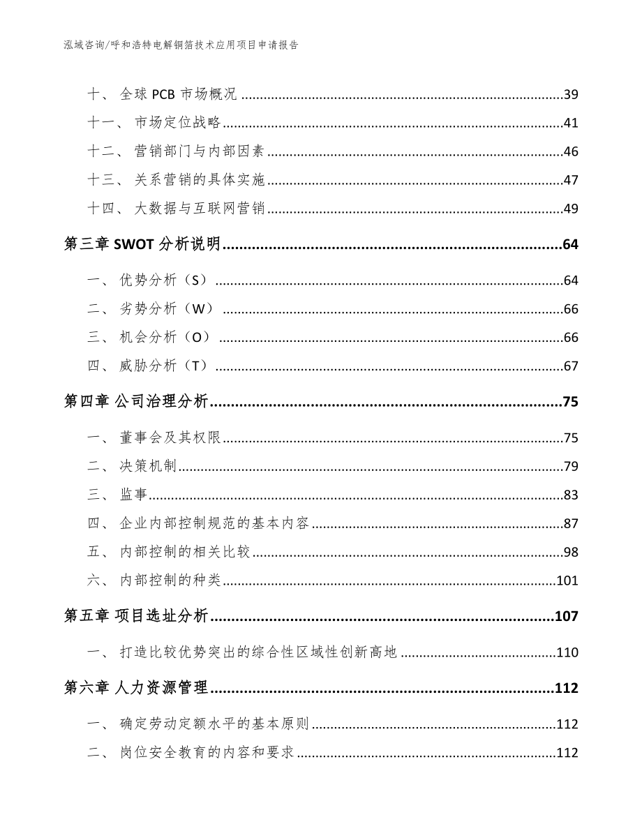 呼和浩特电解铜箔技术应用项目申请报告_第2页