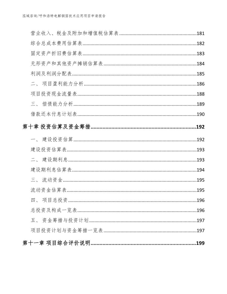 呼和浩特电解铜箔技术应用项目申请报告_第4页