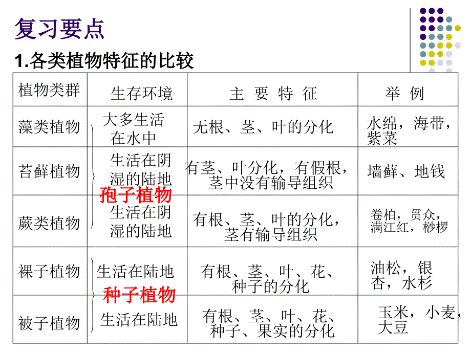 3.1-2生物圈中的绿色植物_第2页