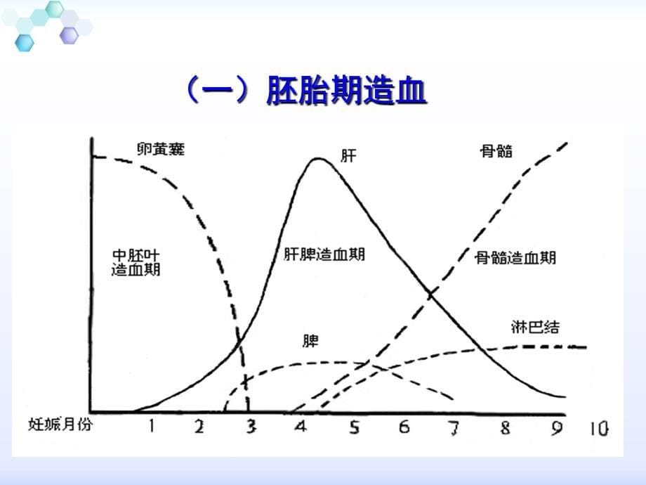 儿科护理学造血系统疾病患儿护理_第5页