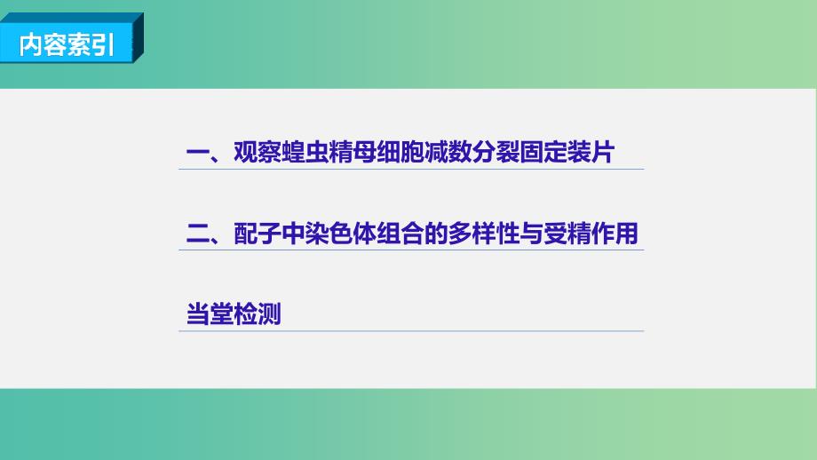 高中生物 2.1.3 减数分裂的观察、受精作用课件 新人教版必修2.ppt_第4页