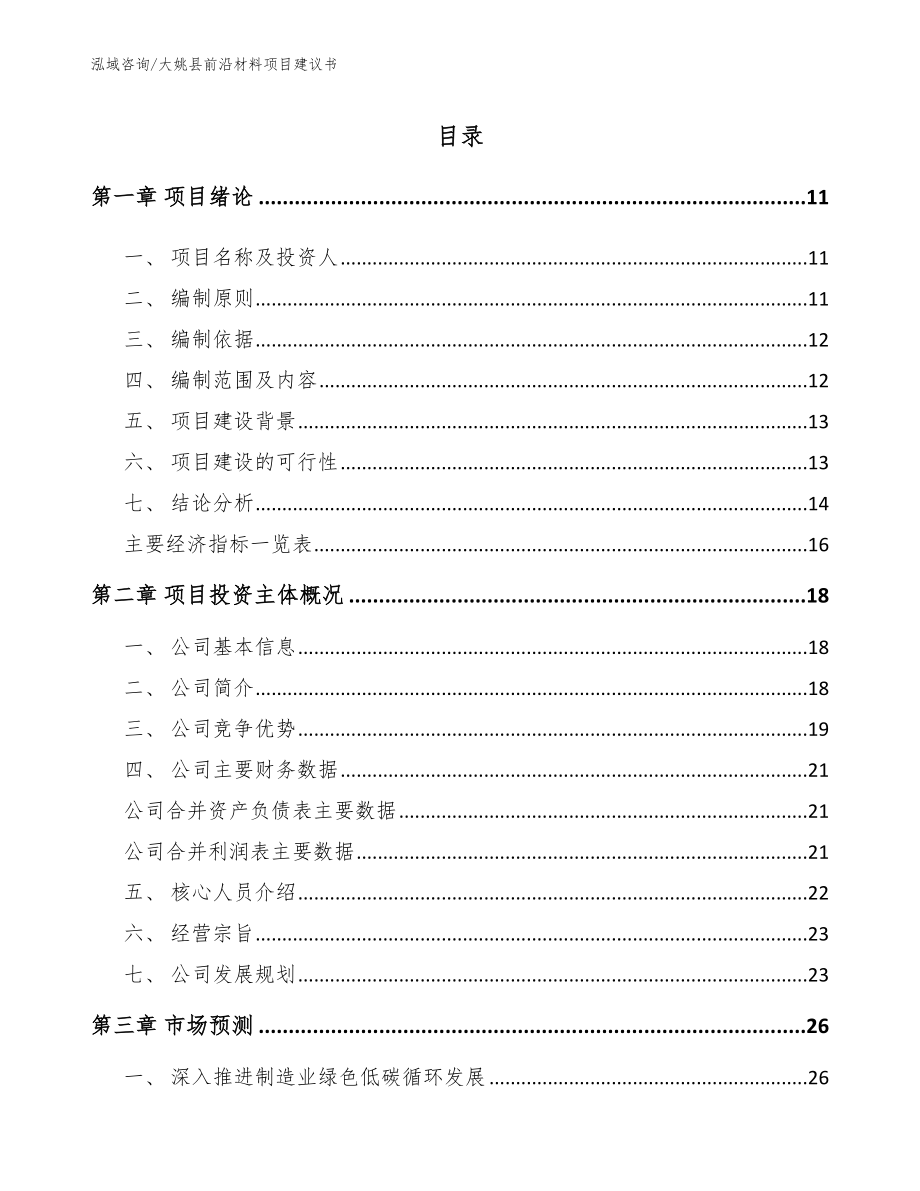 大姚县前沿材料项目建议书_第2页