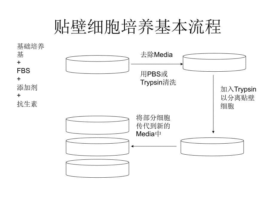 中国药科大学新药筛选细胞培养基础知识培训材料_第5页