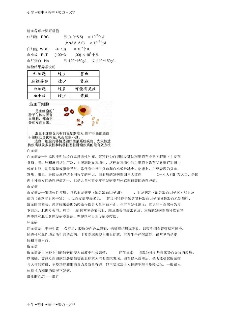 中考生物专题复习十人体内的物质运输讲义新人教版_第5页