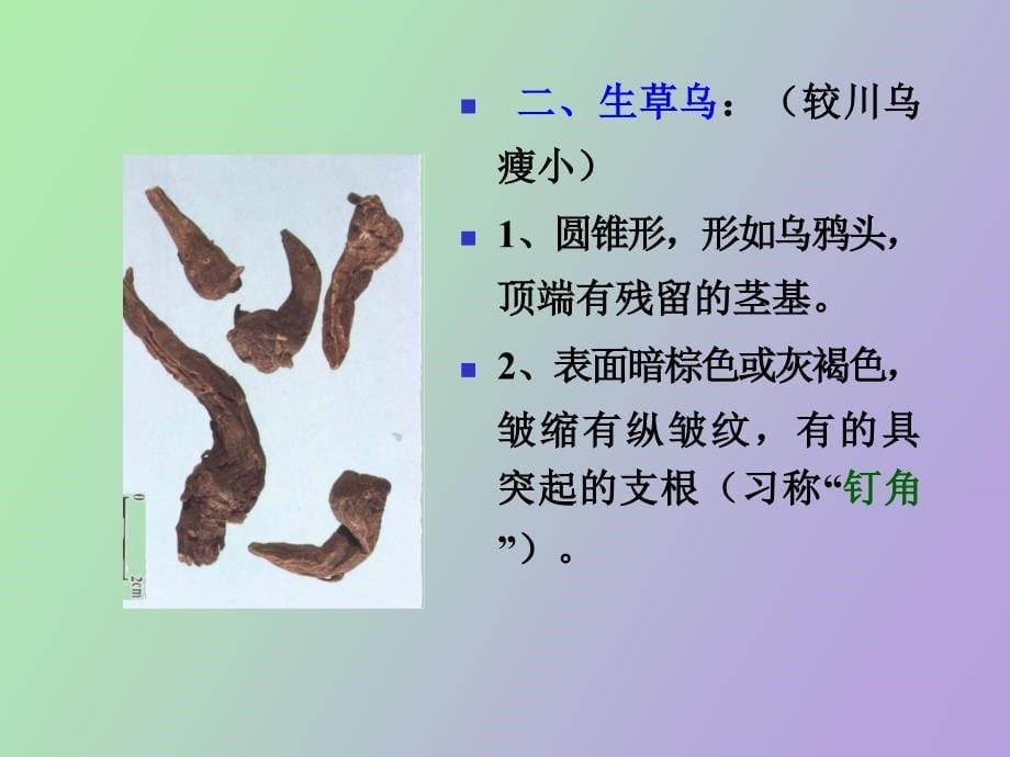 川乌草乌附子_第5页