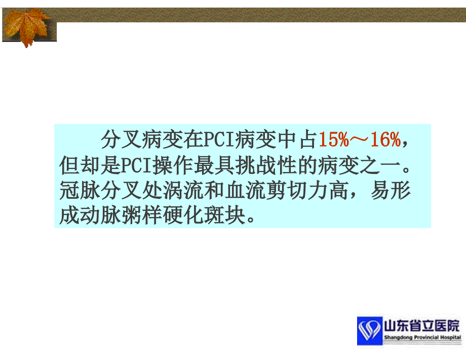 分叉病变的介入治疗详版优质借鉴_第2页