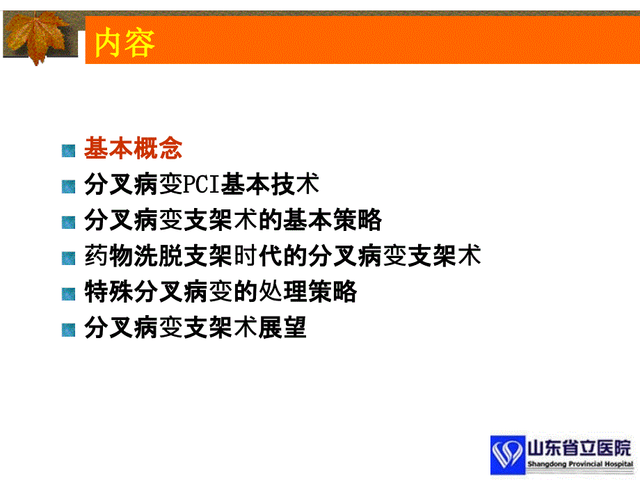 分叉病变的介入治疗详版优质借鉴_第3页