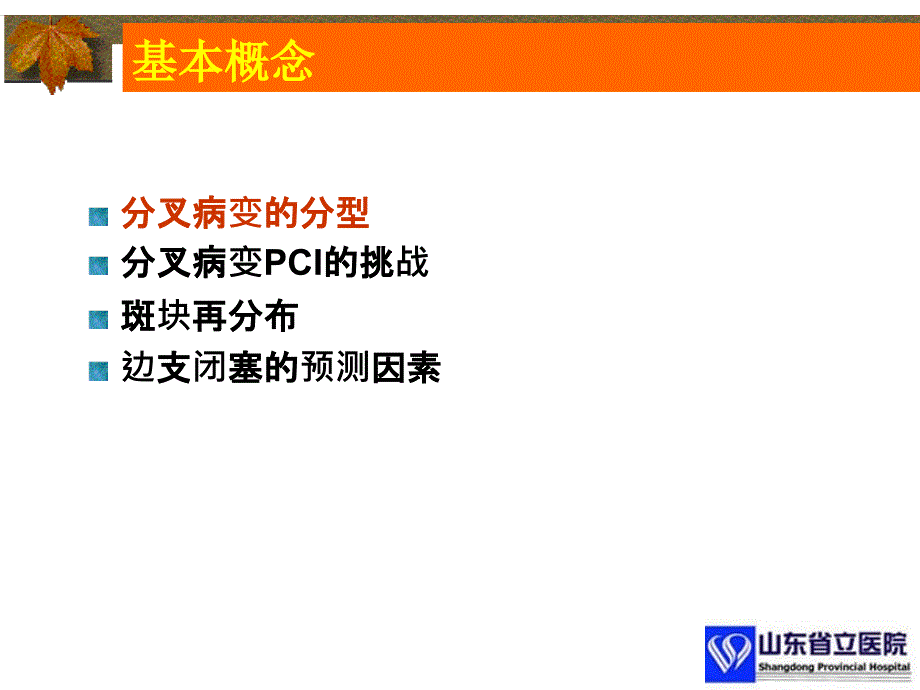 分叉病变的介入治疗详版优质借鉴_第4页