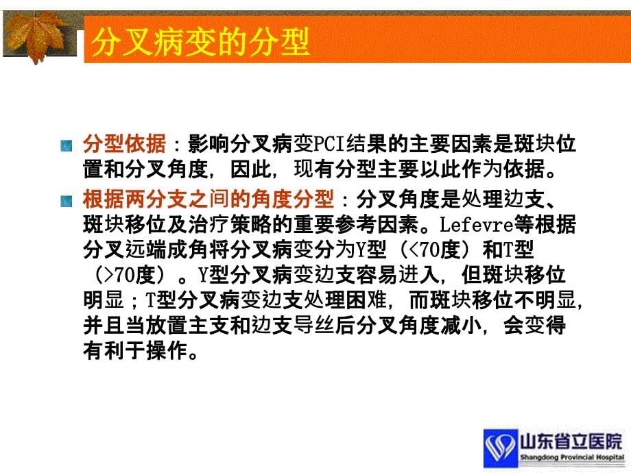 分叉病变的介入治疗详版优质借鉴_第5页