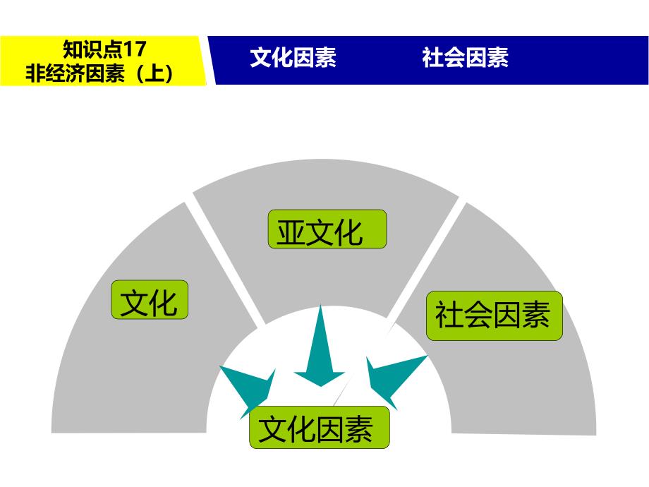 17.非经济因素(上)_第4页