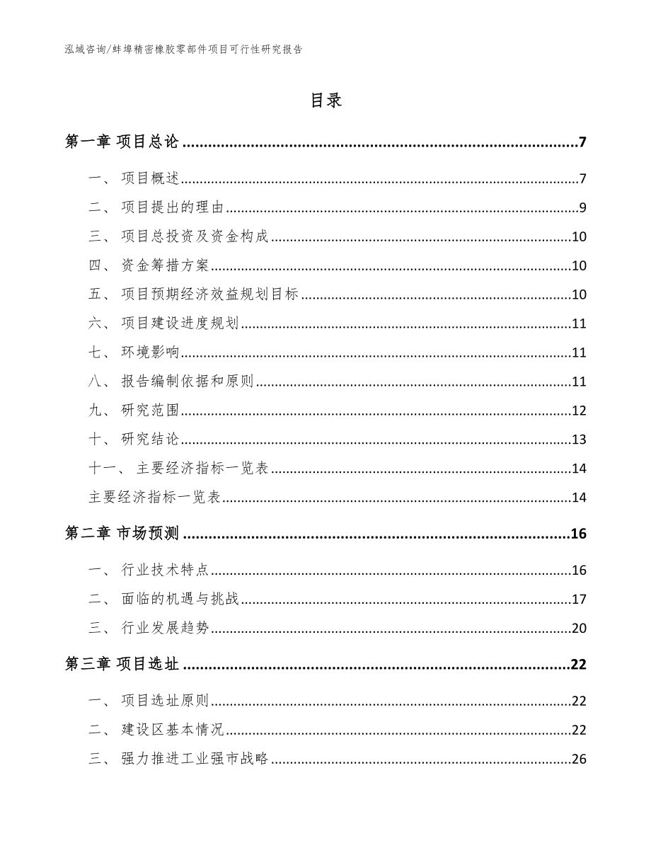 蚌埠精密橡胶零部件项目可行性研究报告（范文）_第1页