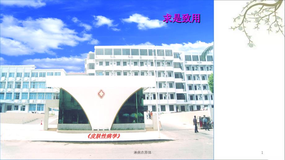淋病衣原体课件_第1页