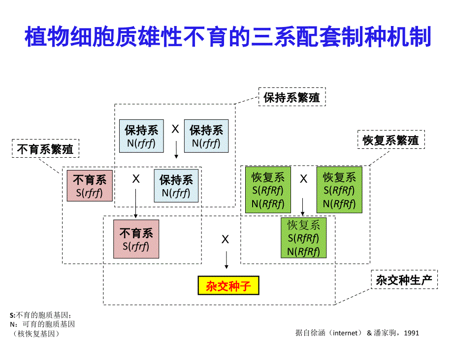 张先锋公司SPT技术简介课件_第2页