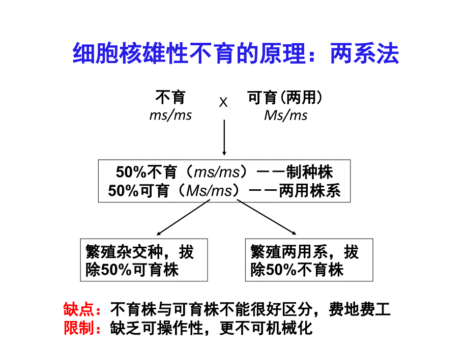 张先锋公司SPT技术简介课件_第4页