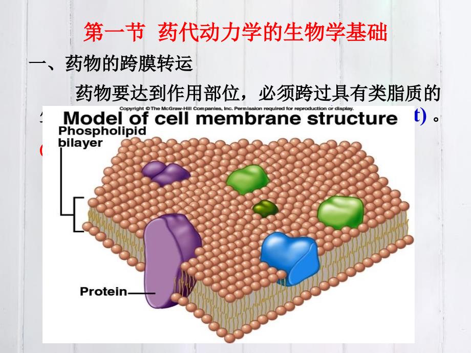 药物代谢动力学学习目标_第4页