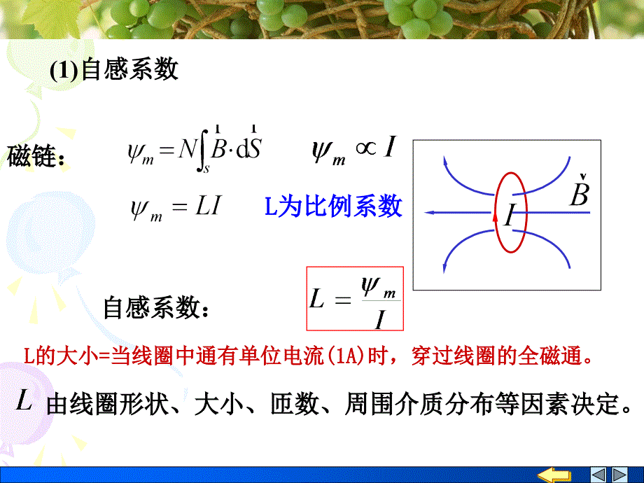 大学物理课件：十三章3课_第4页