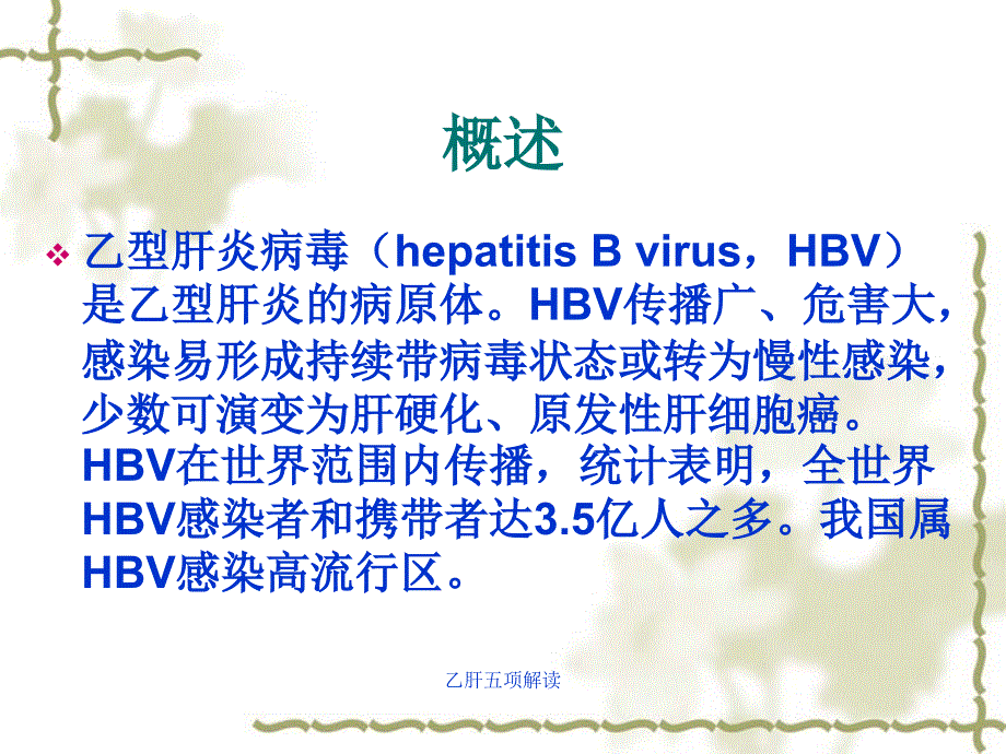 乙肝五项解读_第2页