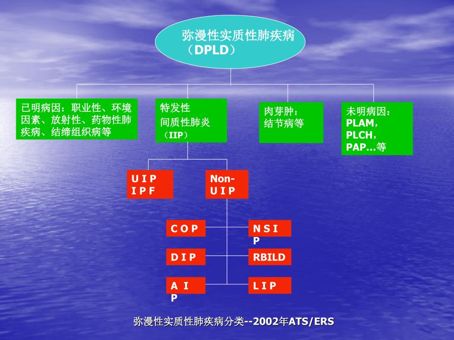 弥漫性肺疾病的HRCT诊断_第3页