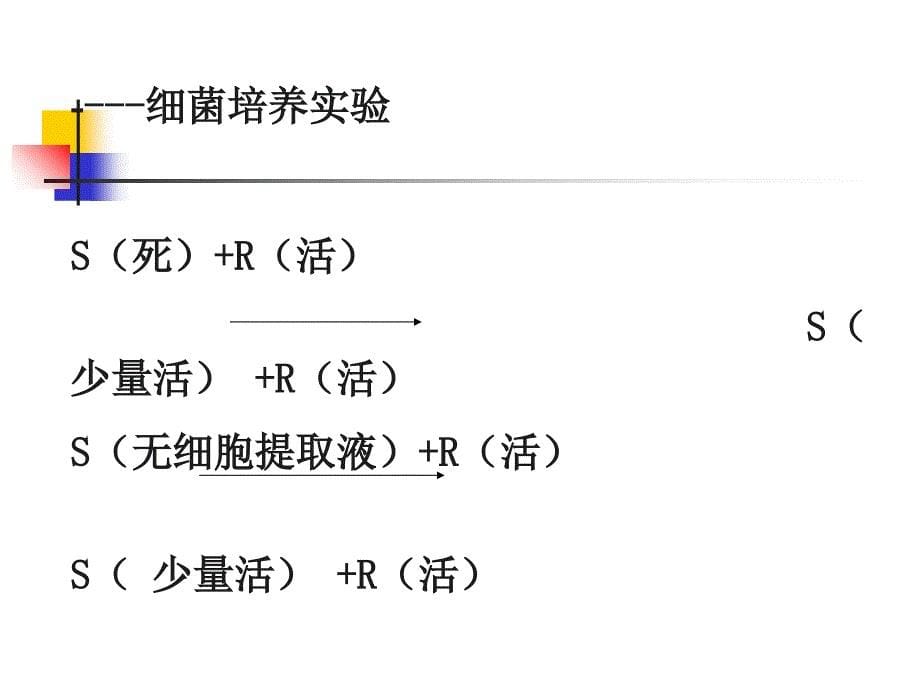 厦大微生物课件第七章微生物遗传变异与育种_第5页