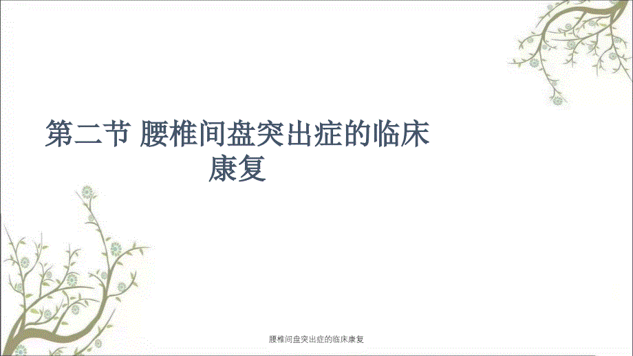 腰椎间盘突出症的临床康复课件_第1页