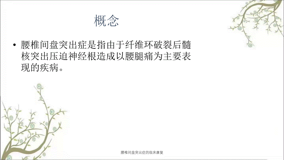 腰椎间盘突出症的临床康复课件_第2页