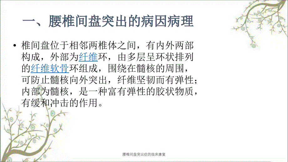 腰椎间盘突出症的临床康复课件_第3页