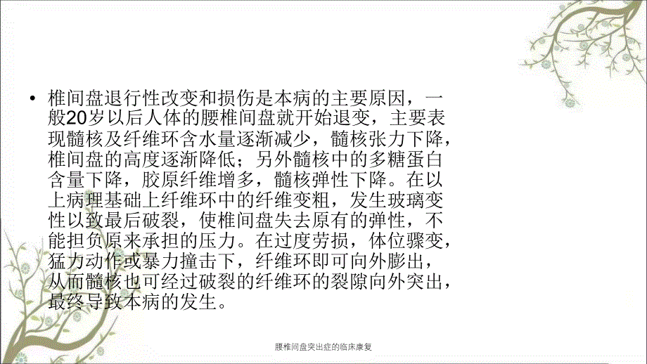 腰椎间盘突出症的临床康复课件_第4页