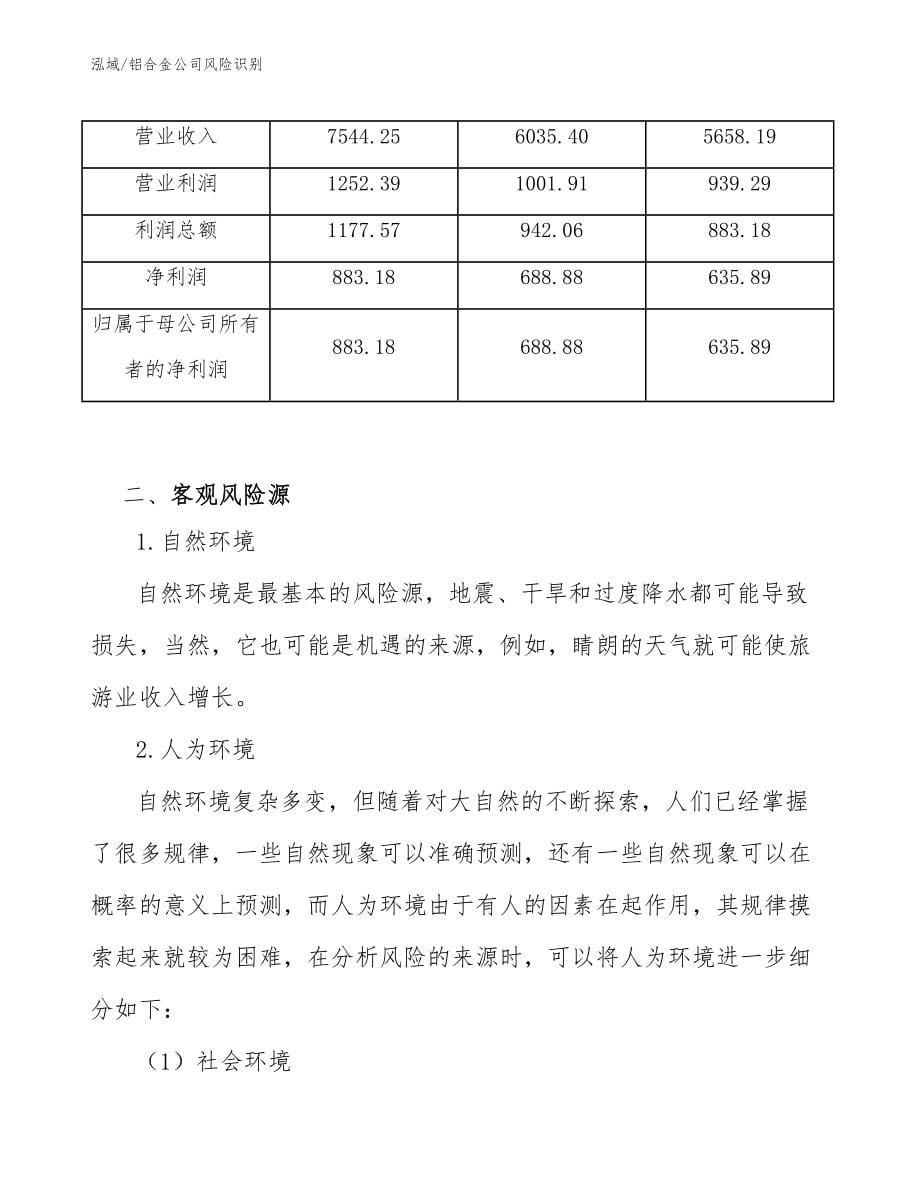 铝合金公司风险识别_第5页