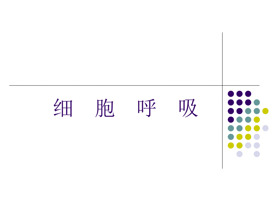 高三一轮复习呼吸作用课件_第1页