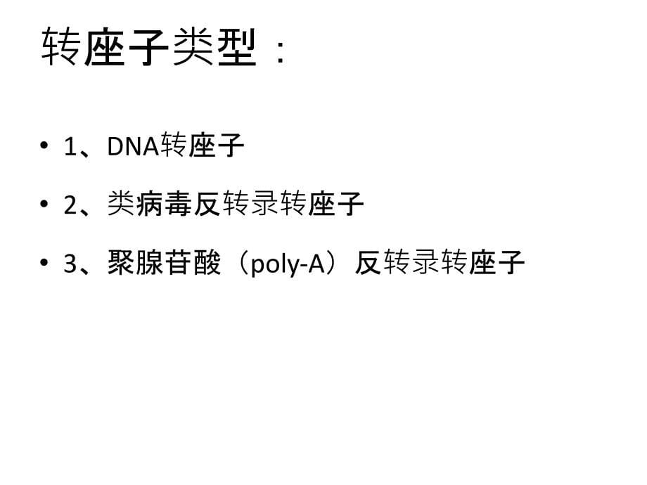 转座子插入敲除PPT课件_第5页