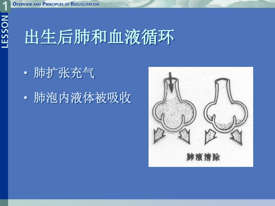 新生儿心肺复苏ppt课件_第3页