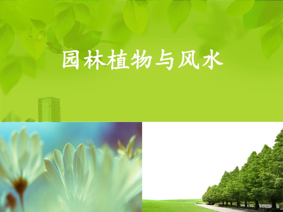 园林植物与风水_第1页