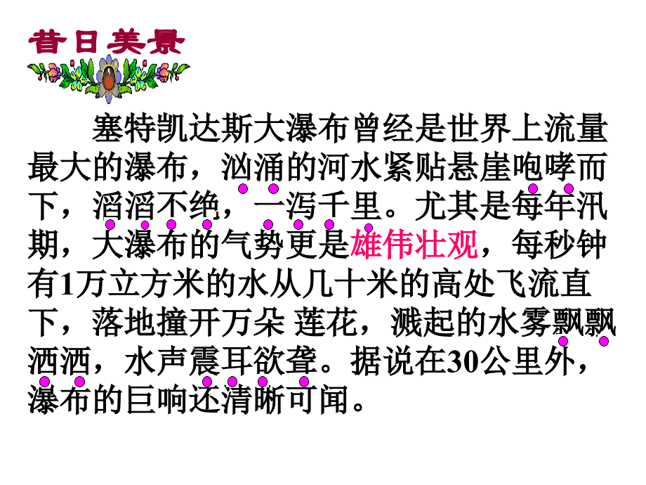 沪教版语文五上大瀑布的葬礼课件2_第4页