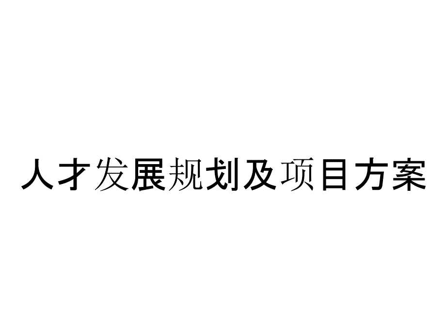 人才发展规划及项目方案_第1页