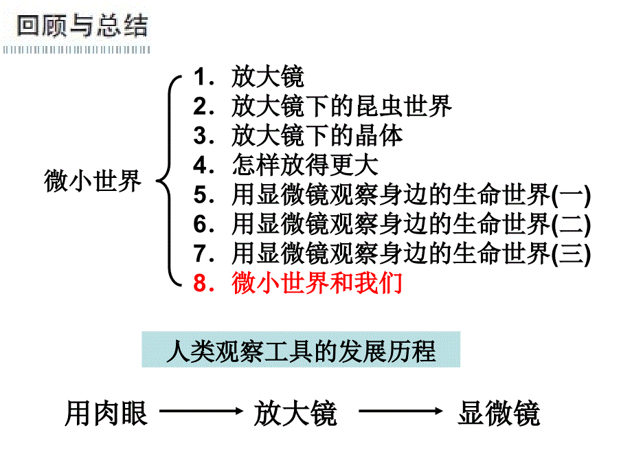 教科版六年级下册第一单元第8课_第2页