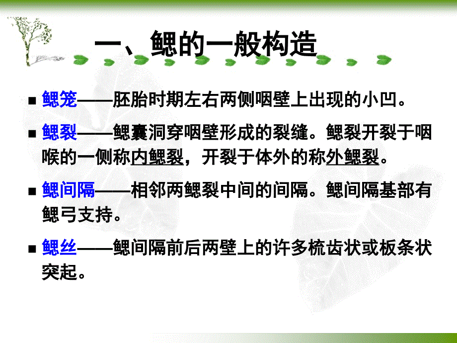 第六章呼吸系统_第3页