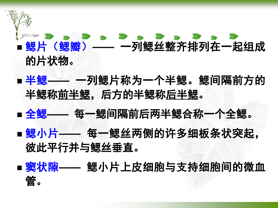 第六章呼吸系统_第4页