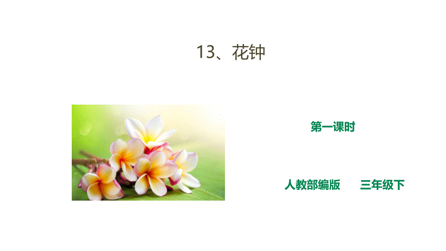 《花钟》第一课时课件_第1页