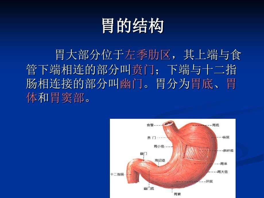 胃癌的护理PPT课件_第5页