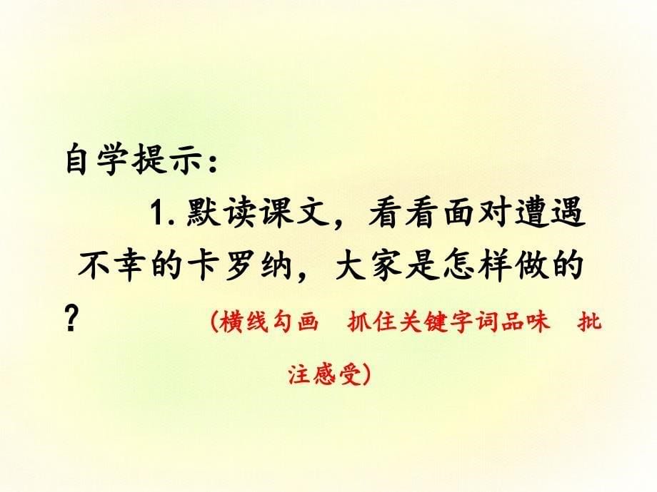 语文人教版四年级上册卡罗纳课件3_第5页